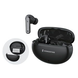 Detachable Battery TWS Earbuds Wireless Headphones